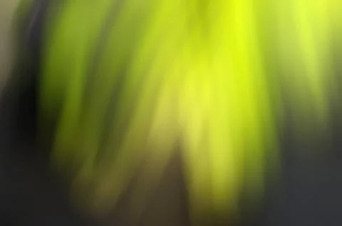 Green leaf blur background Stock Photos