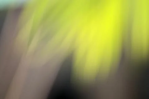 Green leaf blur background Stock Photos