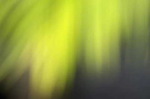 Green leaf blur background Stock Photos