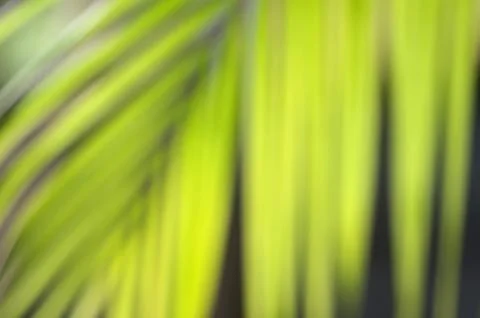 Green leaf blur background Stock Photos