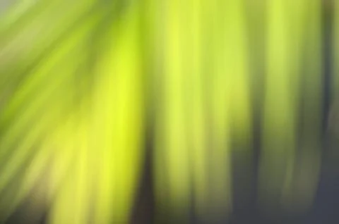 Green leaf blur background Stock Photos