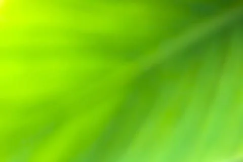 Green leaf blurred abstract background Stock Illustration