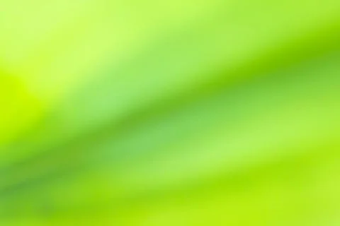 Green leaf blurred abstract background Stock Illustration
