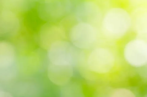 Green leaf blurred background and sunlight bokeh Stock Photos