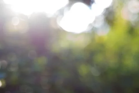 Green leaf bokeh background, abstract background Stock Photos