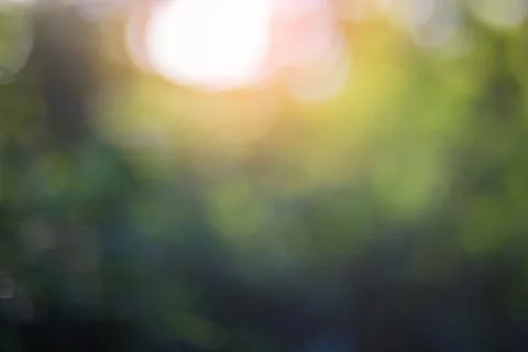 Green leaf bokeh background, abstract background Stock Photos