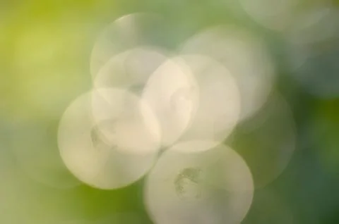 Green leaf bokeh background Stock Photos