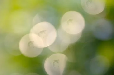 Green leaf bokeh background Stock Photos