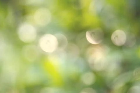 Green leaf bokeh background Stock Photos