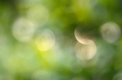Green leaf bokeh background Stock Photos