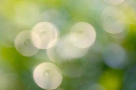 Green leaf bokeh background Foto stock