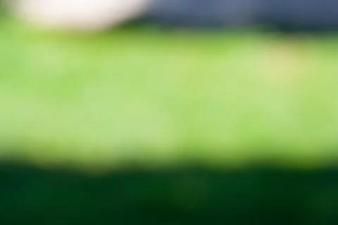 Green leaf bokeh pattern background for design. Abstract blur green color for Stock Photos