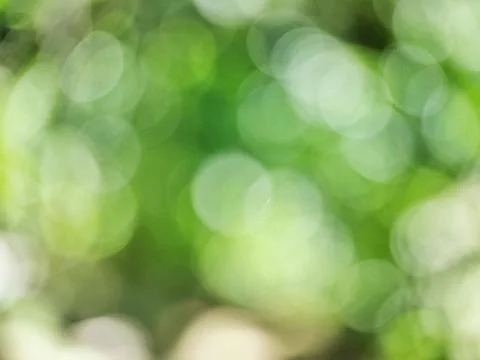 Green leaf bokeh pattern background for design Stock Photos