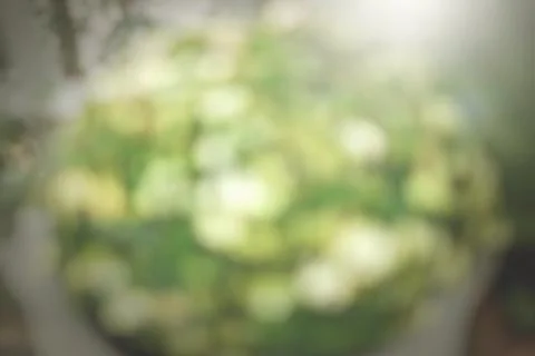 Green leaf bokeh Stock Photos