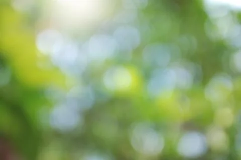 Green leaf bokeh Stock Photos