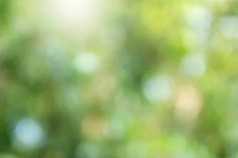 Green leaf bokeh Foto stock