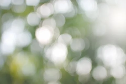 Green leaf bokeh Stock Photos