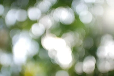 Green leaf bokeh Stock Photos