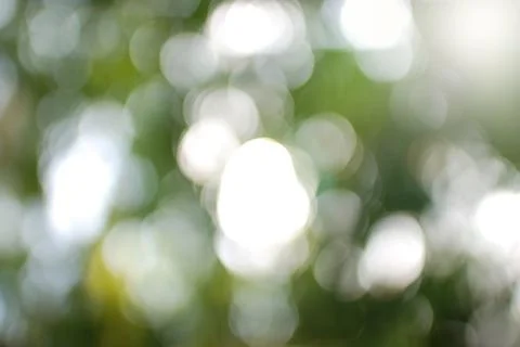 Green leaf bokeh Stock Photos