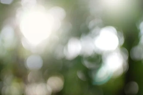 Green leaf bokeh Stock Photos