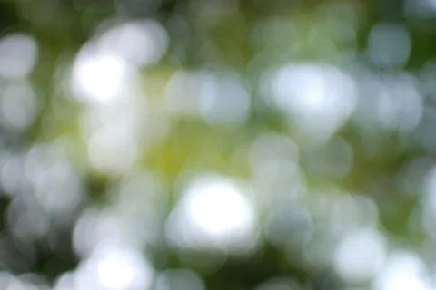 Green leaf bokeh Stock Photos