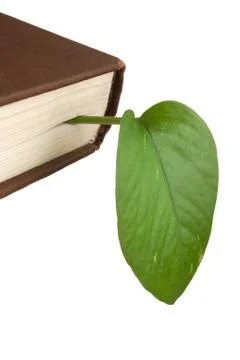 Green leaf bookmark in a book Stock Photos