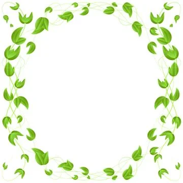 Green leaf border,isolated on white background. 스톡 일러스트