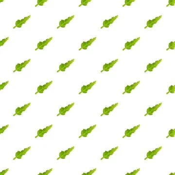Green leaf botanical pattern on white background 库存插图