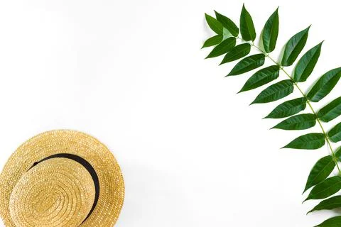 Green leaf branches and straw haton white background. flat lay, top view Stock Photos