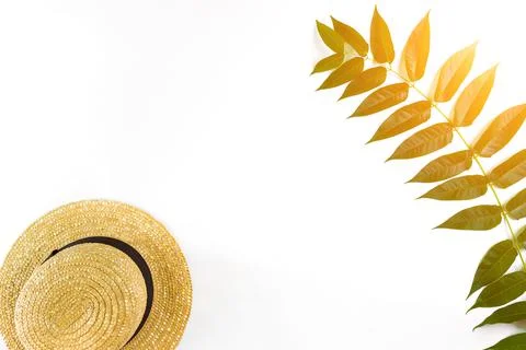 Green leaf branches and straw haton white background. flat lay, top view. Sun Stock Photos