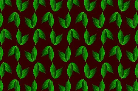 Green leaf chestnut on dark background Stock Illustration