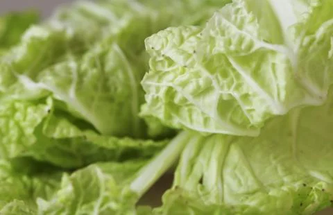 Green leaf of chinese cabbage background. Foto stock