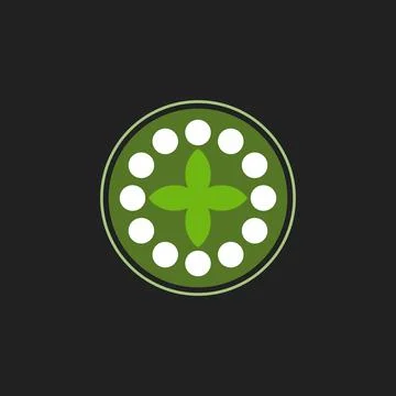 Green leaf with circle shape badge logo vector illustration Illustrazione stock