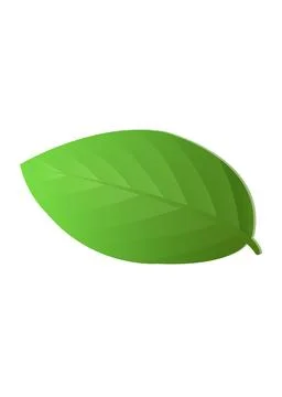 Green Leaf with Circular Hole and Soft Shadow on White Background イラスト素材