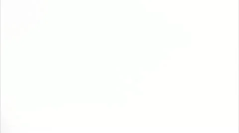 A green leaf, close-up Stock Footage 11287288