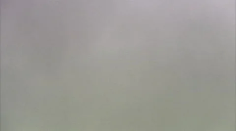 A green leaf, close-up Stock Footage 11287308