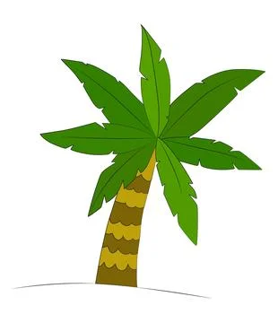 Green with leaf is coconut tree vector illustration Stock Illustration