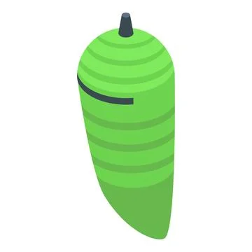 Green leaf cocoon icon isometric vector. Stage cute leaf Ilustración de archivo