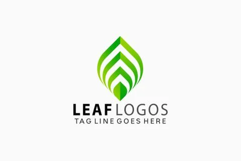 Green Leaf Creative Logo Design Vector Illustration Template Stock Illustration
