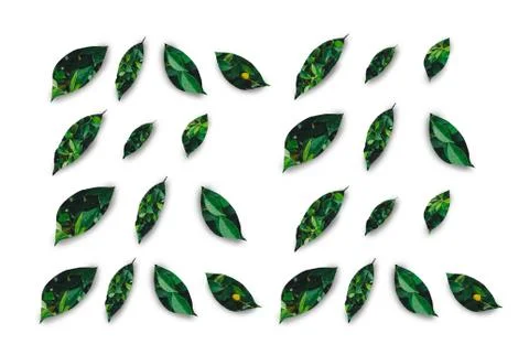 Green leaf design on white background Stock Photos