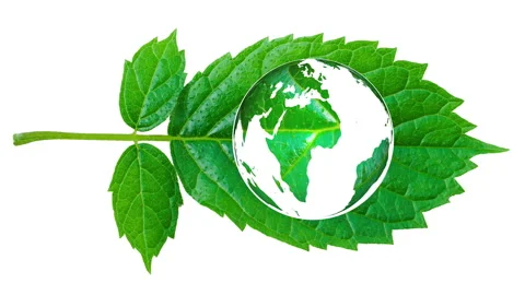 A green leaf designed in the shape of a world map. Stock Footage 340297536