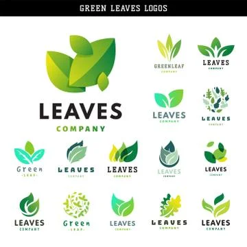 Green leaf eco design friendly nature elegance symbol and natural element Illustrazione stock