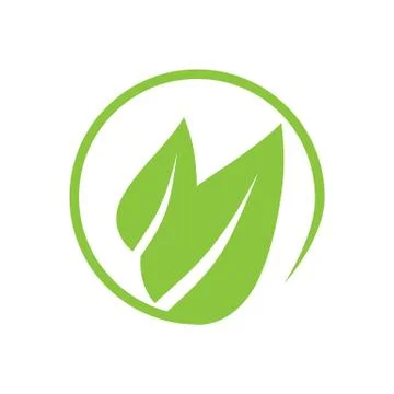 Green leaf, Eco icon. Vector illustration, flat design. Stock Illustration