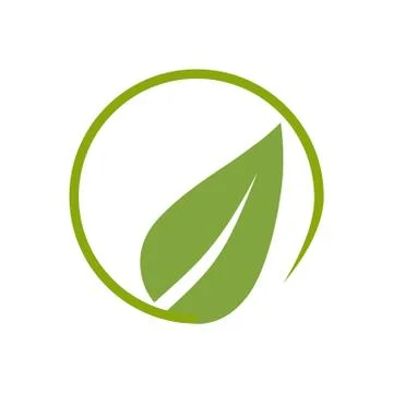 Green leaf, Eco icon. Vector illustration, flat design. Stock Illustration