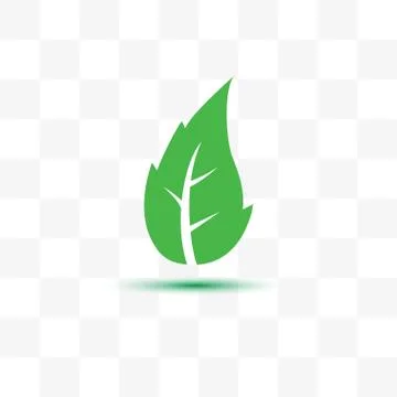 Green leaf, Eco icon Vector illustration, flat design Stock Illustration