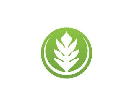 Green leaf ecology nature element vector icon Stock Illustration