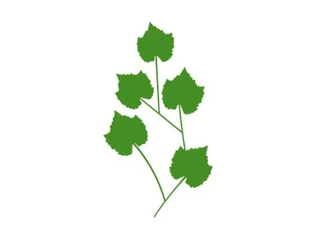 Green leaf ecology nature element vector icon Stock Illustration