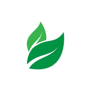 Green leaf ecology nature element vector template Illustrazione stock