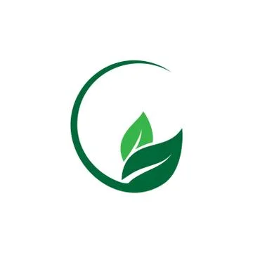Green leaf ecology nature element vector template Stock Illustration