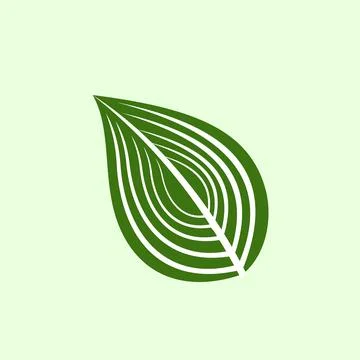 Green leaf ecology nature element vector icon design. Elegant element Stock Illustration